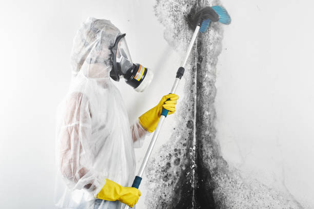 Best Residential water damage restoration  in Erie, CO