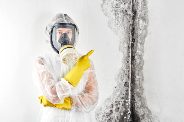  Erie, CO Water damage restoration Pros
