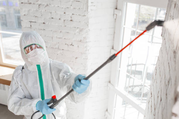Erie, CO Water damage restoration Company