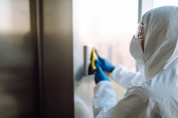 Best Carpet water damage restoration  in Erie, CO
